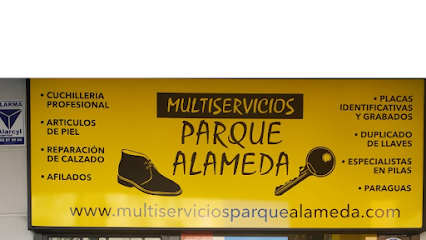 cerrajero Multiservicios Parque Alameda